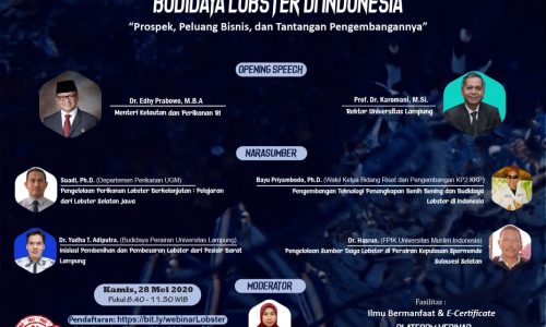 Dr.Ir. Hasrun, M.Si : Pengelolaan Sumber Daya Lobster di Perairan Kepulauan Spermande
