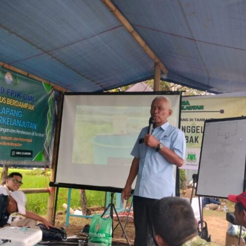 Peringati Milad ke-39, FPIK UMI Gelar Sekolah Lapang bagi Petambak Udang